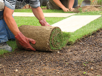 Artificial Grass Los Gatos, CA