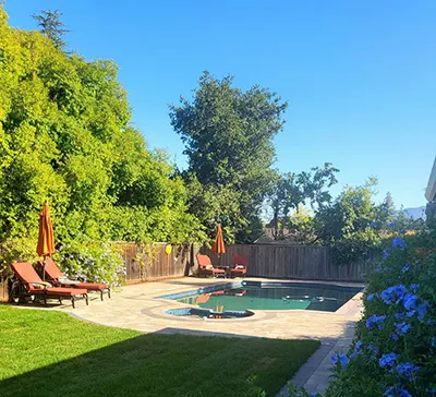Reviews, Diane D., Saratoga, CA Reviews, Diane D., Saratoga, CA